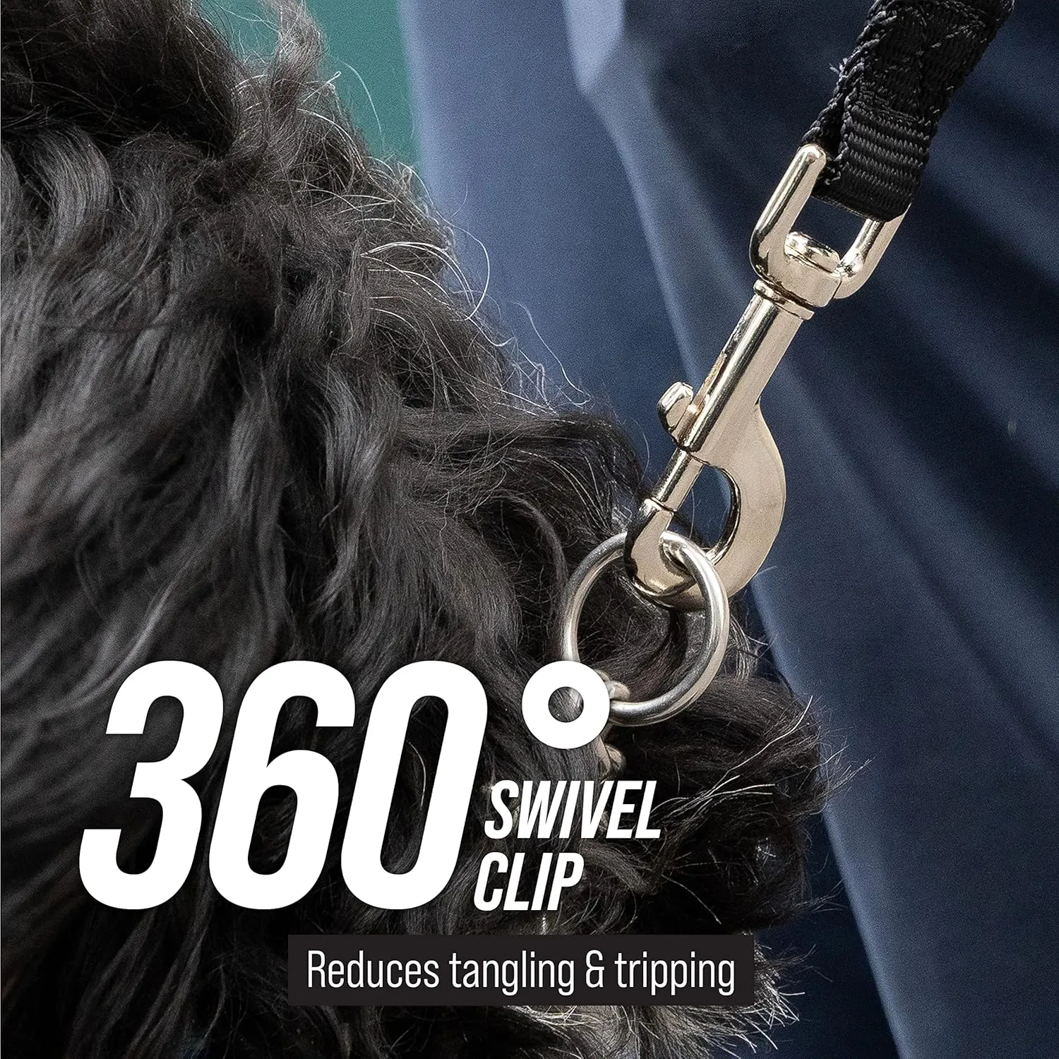 Free Range 3/4" - 50 Foot Dog Leash - Nylon Training Lead for Large Dogs