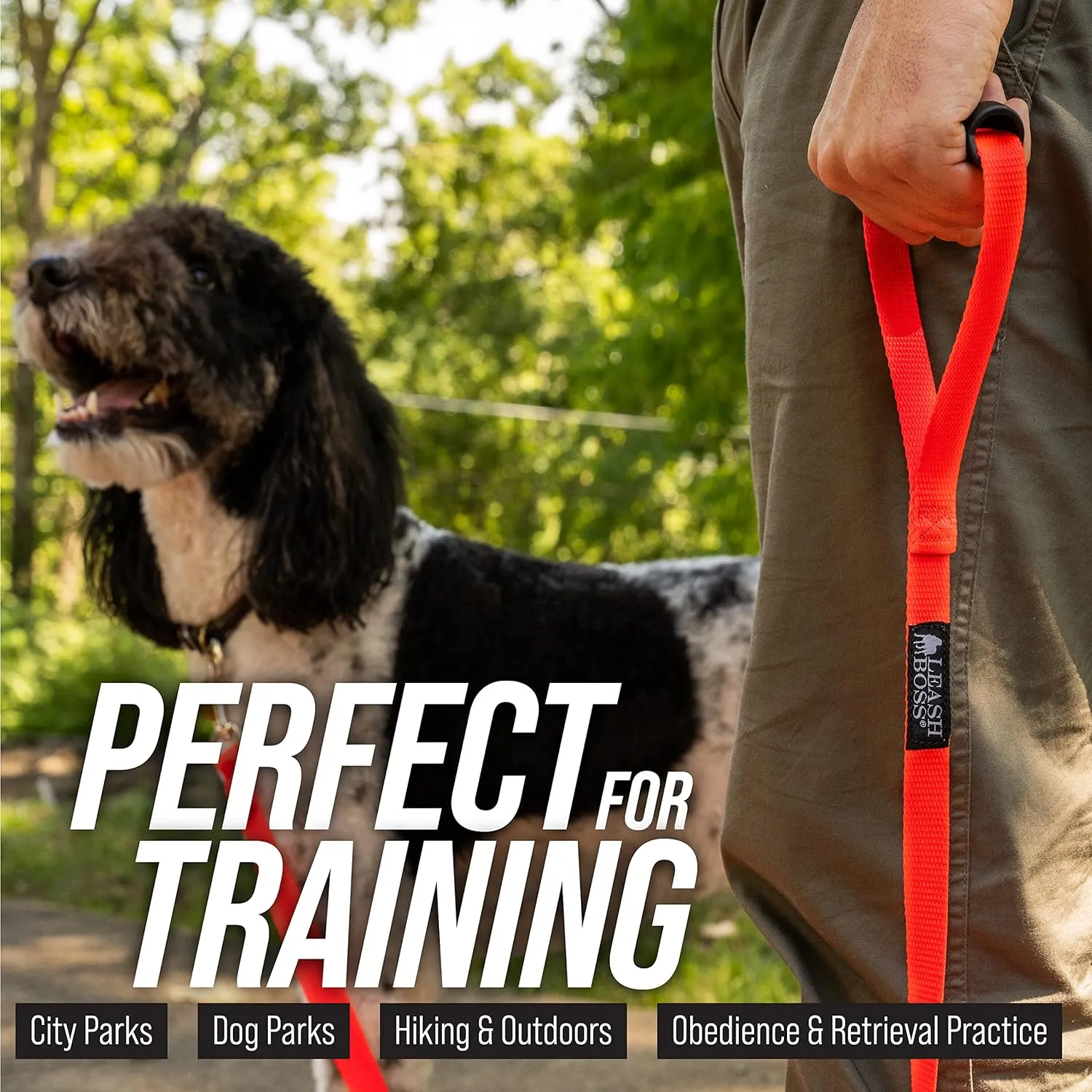 Free Range 3/4" - 50 Foot Dog Leash - Nylon Training Lead for Large Dogs