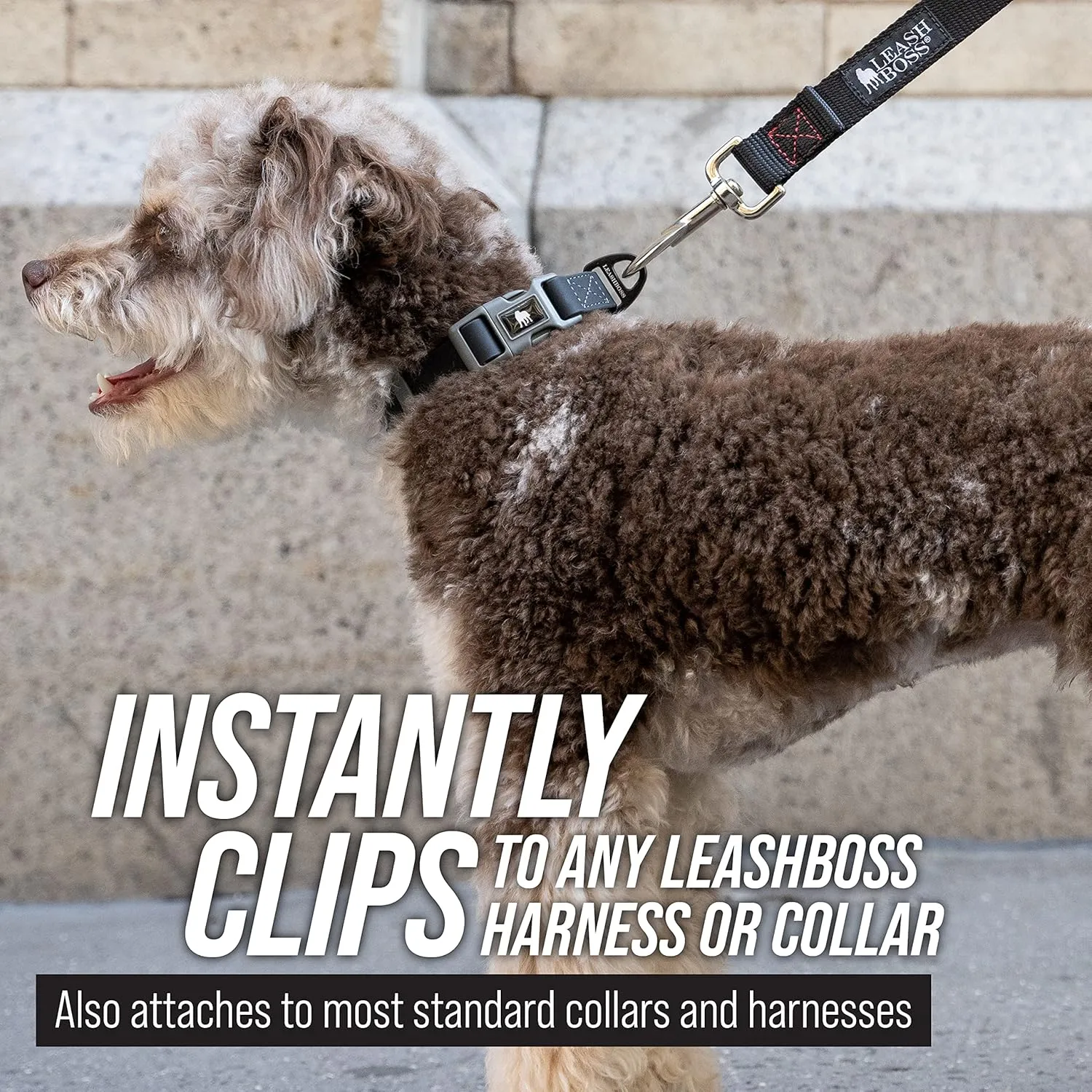Free Range 3/4" - 50 Foot Dog Leash - Nylon Training Lead for Large Dogs