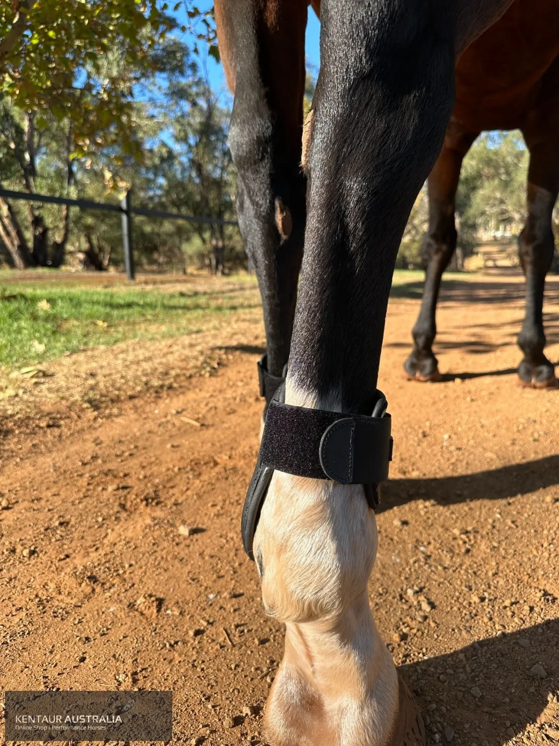 Kentaur 'Flicker Rear' Hind Boot