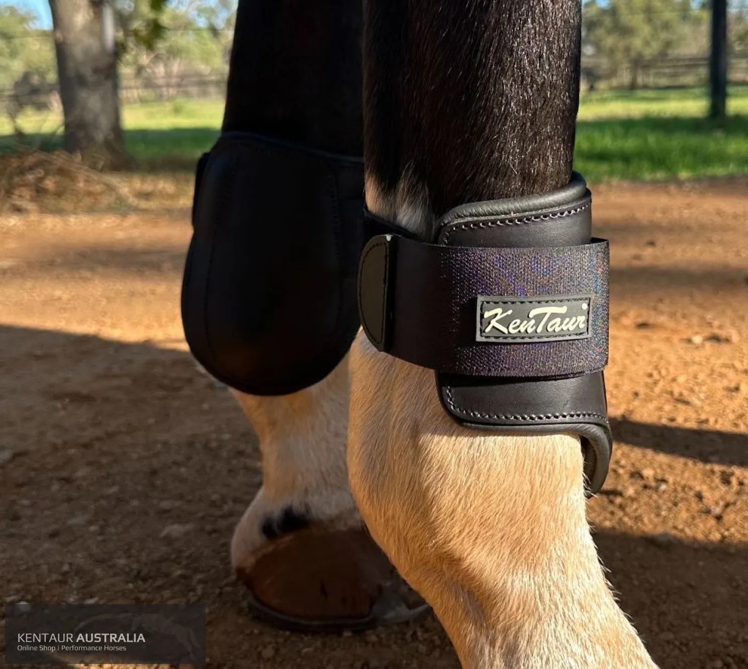 Kentaur 'Flicker Rear' Hind Boot