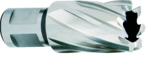 Morse 1" Depth M2 High Speed Steel Annular Cutter - Select Size for Price